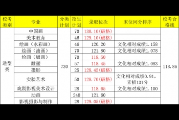 2024年四川美术学院造型类专业录取分数线